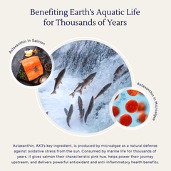 AX3 Astaxanthin